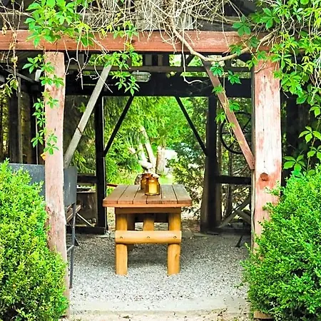 Na Soltyskiej 山林小屋